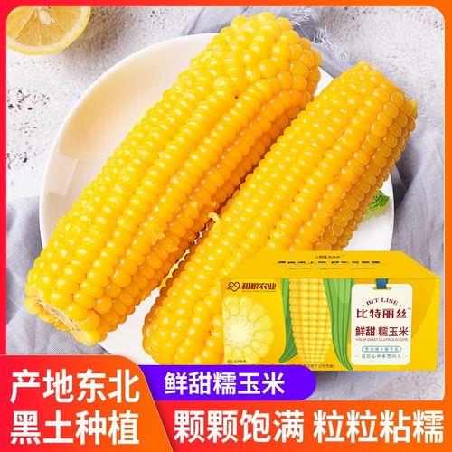 东北2022最火玉米种子