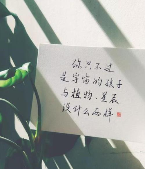 相识已是上上签出自哪里