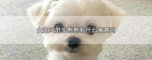 男生说女生笨。怎么办