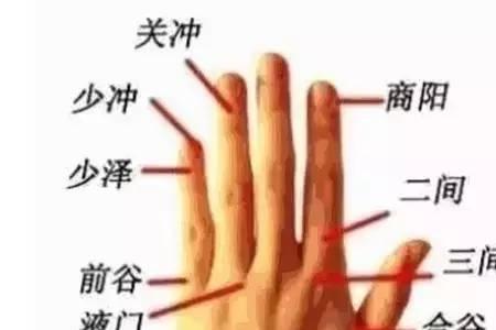 左手中间的手指头叫什么