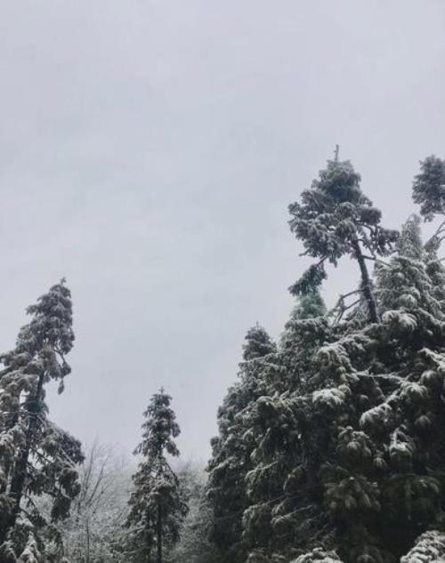 96年昆明下雪了吗