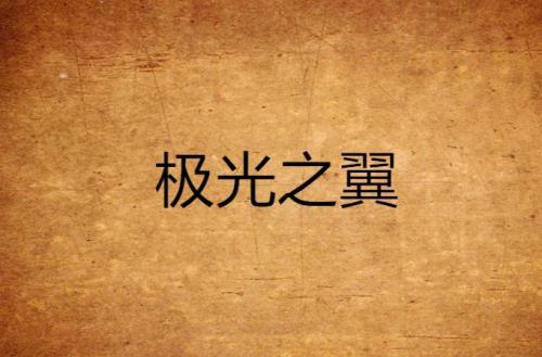 时光之翼怎么用