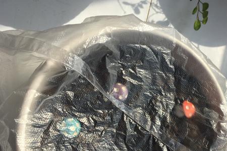 种子发芽还要盖保鲜膜吗