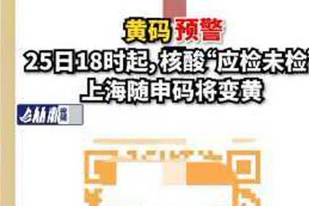 上海随申码红字什么意思