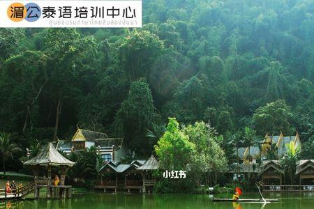 版纳十大景区