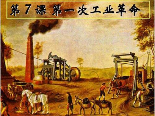 第一次绿色革命指什么