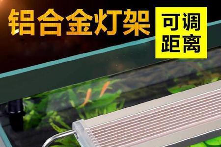 鱼缸灯亮度调多少合适