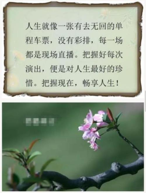 只要今生不要来世的说说