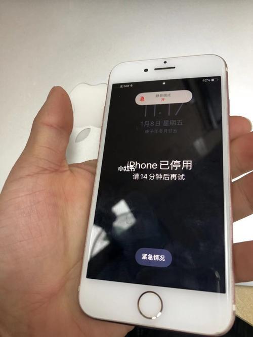 苹果13密码输错一般停用多长时间