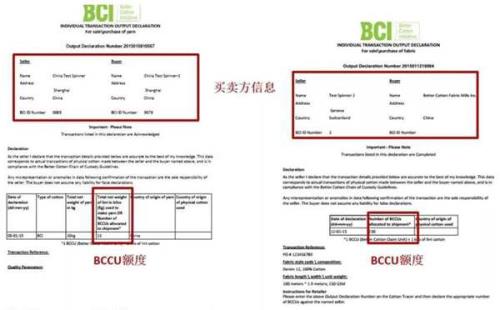 什么是BCI