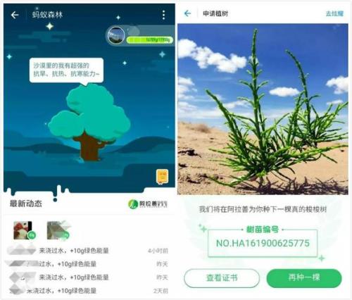 支付宝种树什么时候才能种好