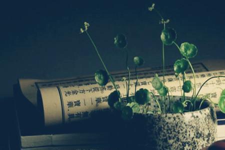 时光如水洗红尘什么意思