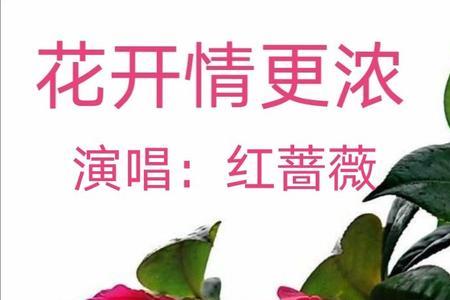形容红花开得漂亮的词
