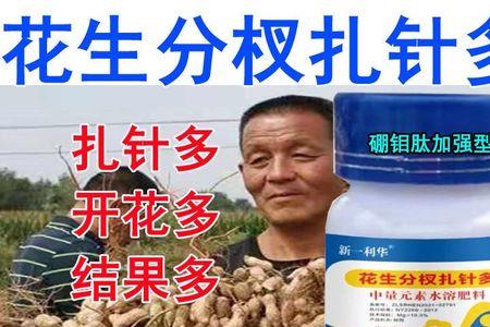 花生分杈剂的成份