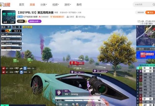 nv是什么意思