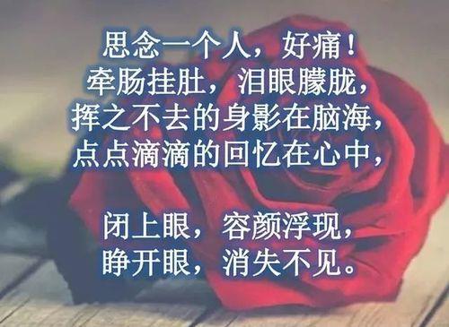 如何彻底忘掉一个人