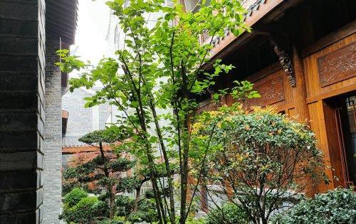 入则宁静出则繁华下一句是什么
