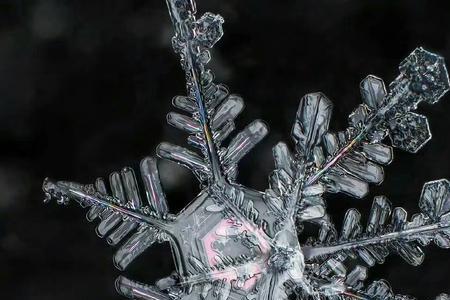 一朵雪花一朵梦境啥意思