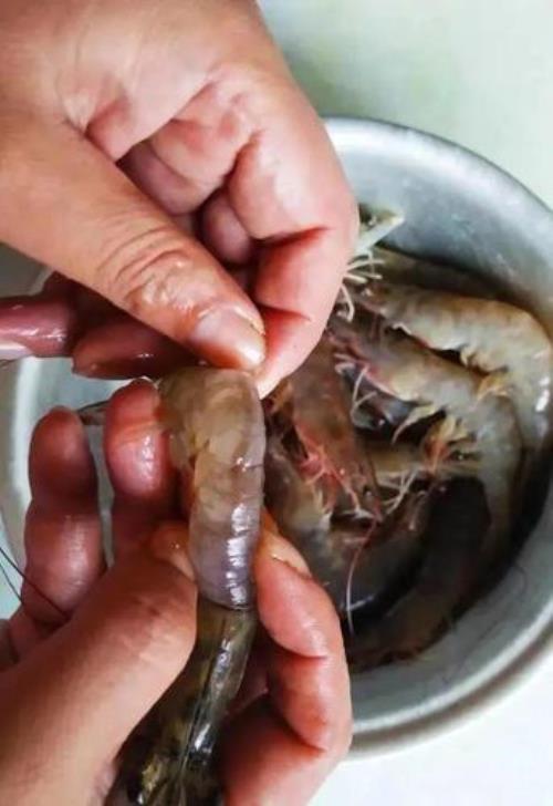 海鳌虾生吃没有寄生虫吗