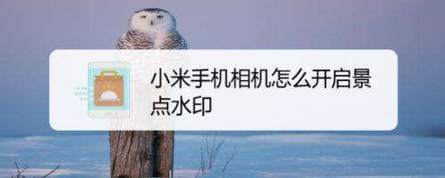 小米11相机水印字体怎么设置