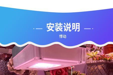 钨丝灯植物补光效果