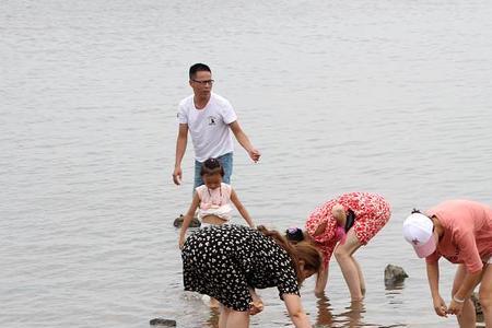 六月十五什么时候赶海最好
