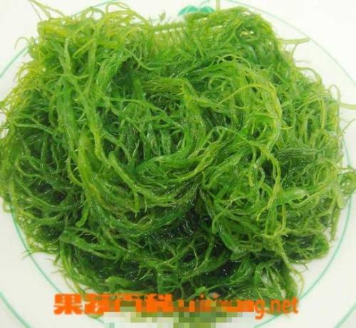蕨菜和龙须菜的区别