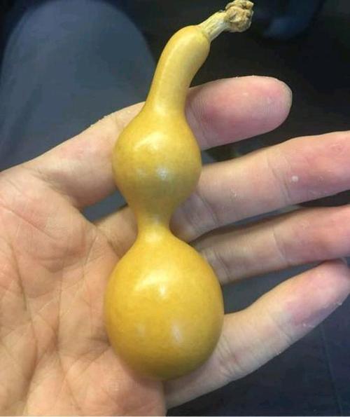 文玩葫芦上油后怎么清理