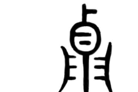 nie字的正确写法