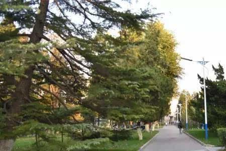 给学校道路起名字