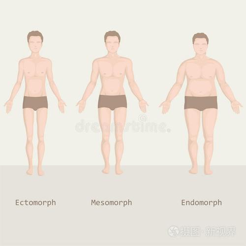 女人喜欢什么体型的男人