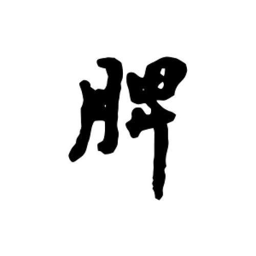 脾的笔顺怎么写