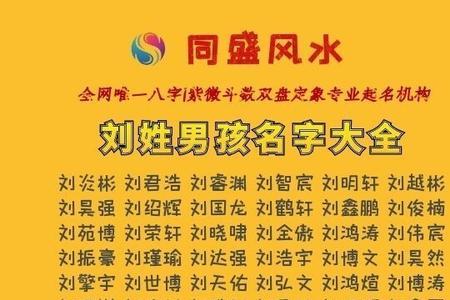 姓楚的男孩名字