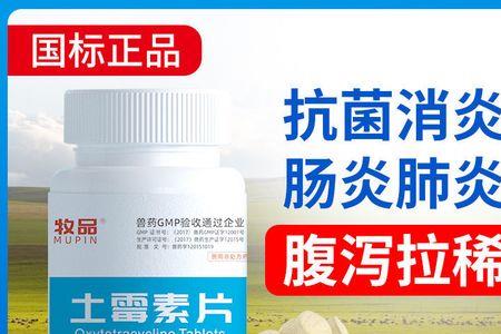 狗狗肠胃炎的克星是什么药
