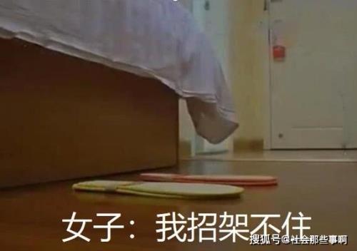 招架什么意思