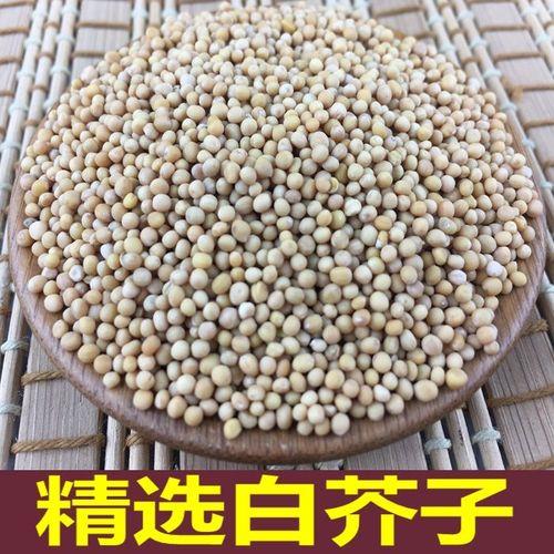白芥子是白菜籽吗