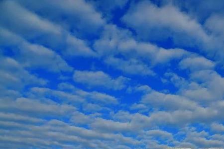 冬天叫仲冬春天叫什么