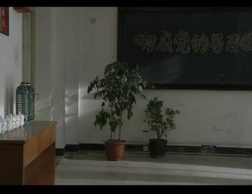 同龄人 李怀林结局