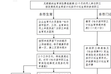 西藏生育保险交满多久可以用