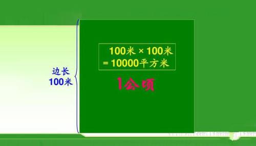 1万公顷等于多少亿吨