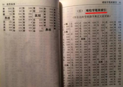 哪用字典怎么查