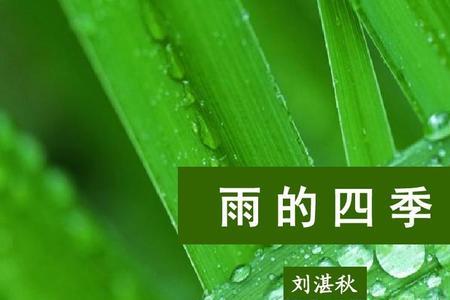 雨的四季最喜欢的三句话
