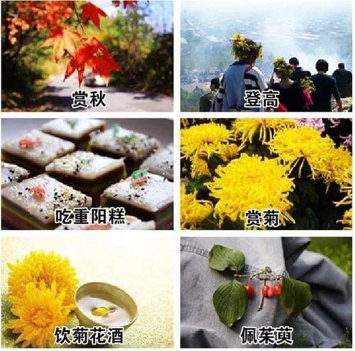 重阳节是从哪一年开始的