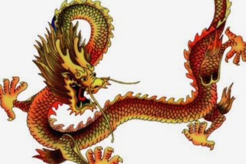 09年23岁属什么