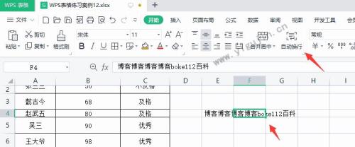 wps产品待激活表格输入不了