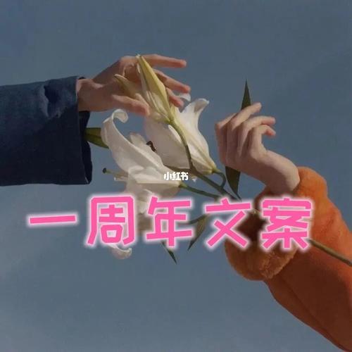 公司一周年简短有深度文案