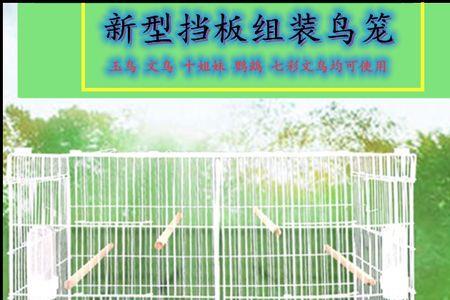 玉鸟繁殖寿命几年