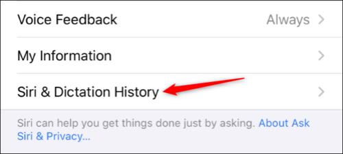 ipad上的siri建议应该怎么关闭