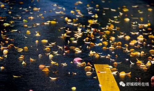 冬天第一场雨的诗句