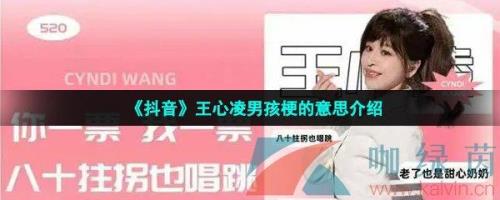 男孩歌词的意思是什么